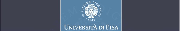 Visita il sito web dell'Università degli Studi di Pisa