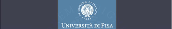 Visita il sito web dell'Università degli Studi di Pisa